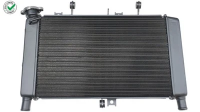 Radiateur Eau Refroidissement Liquide Moteur Pour YAMAHA MT-09 MT09 SP 2021-2024 - Photo 1/4