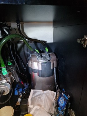 Tetra EX 1200 Plus  Außenfilter mit JBL UVC 