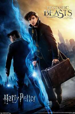 The Wizarding World: Harry Potter and Fantastic Beasts Poster | eBay