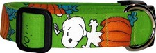 Green Famous Dog in Pumpkins Halloween Handmade Dog Collar