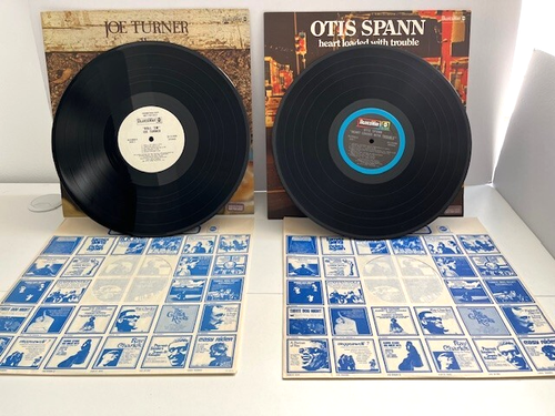 Bluesway Rare Radio Promo Box Set: 1973 :Blues Artists Collection :15 Vinyl LP's - Picture 15 of 20