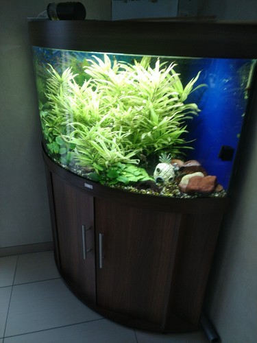aquarium komplett mit unterschrank gebraucht eBay