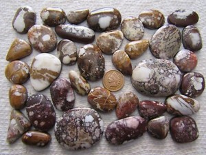 36 WildHorse Magnesite Cabs 1000 carat wild horse Natural Wholesale Lot Cabochon