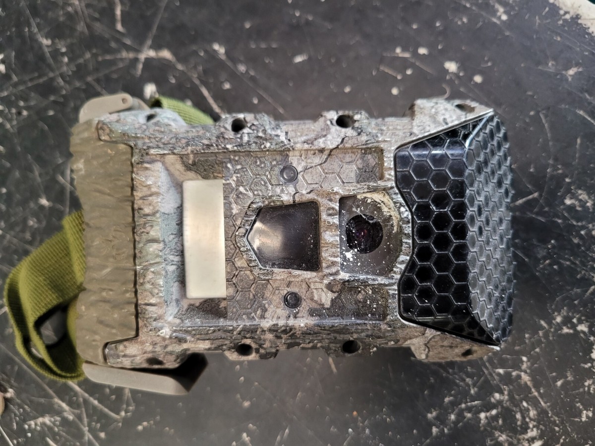 Wildgame Innovations Wraith 16 LightsOut Game Camera STC-WR16B49B2