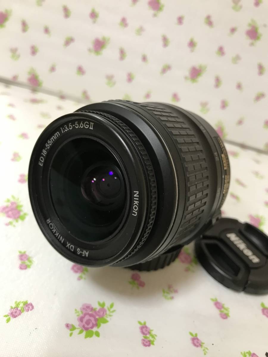Nikon AF-S DX Nikkor 18-55mm F/3.5-5.6G ED
