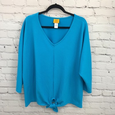 Ruby Rd Top Womens 1X Blue Short Sleeve Stretch Casual Basic Blouse