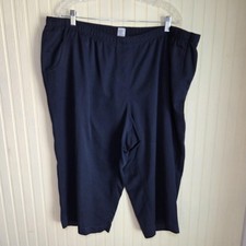 Alia Capri Pants Womens 24W Blue Pull On Elastic Waist Straight Leg Casual