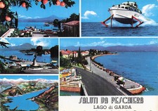 ITALY FISH PESCHIERA DEL GARDA LAKE GARDA