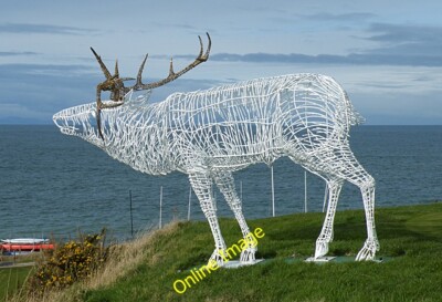 Foto 6x4 Lossiemouth Hirsch ich bin unsicher was die Relevanz eines Hirsches gerade c2014