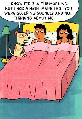 Funny Happy Birthday Dog In Bed Late At Night Hallmark Shoebox Greeting Card