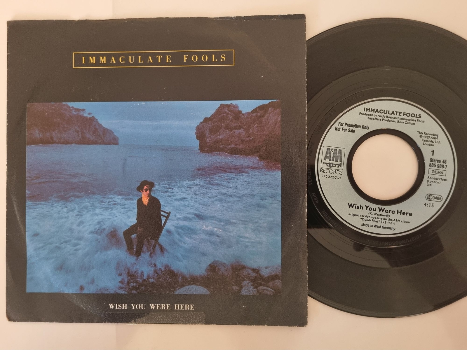 Immaculate Fools - Wish You Were Here 7'' Vinyl Germany