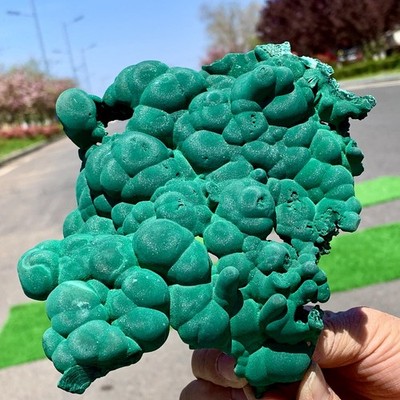 557G Natural velvet Malachite stone cat eye cluster rough mineral sample