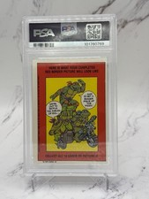 Teenage Mutant Ninja Turtles Professional Sports Authenticator