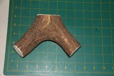 XLarge Upper Elk Antler Dog Chew 46 / bone chews moose treat deer 1218