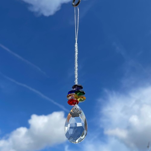 Neu Glas Sonnenfänger Haustier Verlust Denkmal Denkmal ~ Regenbogenbrücke ~ Pfote Charm - Bild 10 von 11