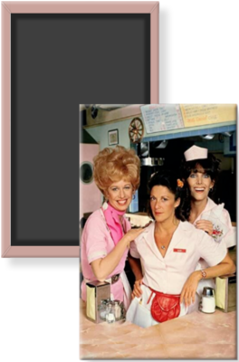 Vera Mels Diner Farmina Ndgr Ainfree Pol Mel KG 2 5