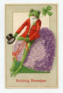 Bonne Annee Grenouille Humanisee Ebay