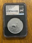 2017 Silver Krugerrand 1 oz — photo from another recent sale