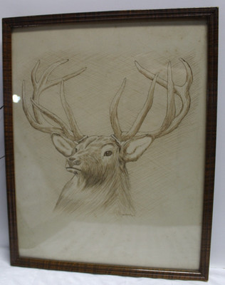 Vintage Wall Art Print of Pencil Drawing Sketch 11 Point Buck ~ W. Schoop 1913