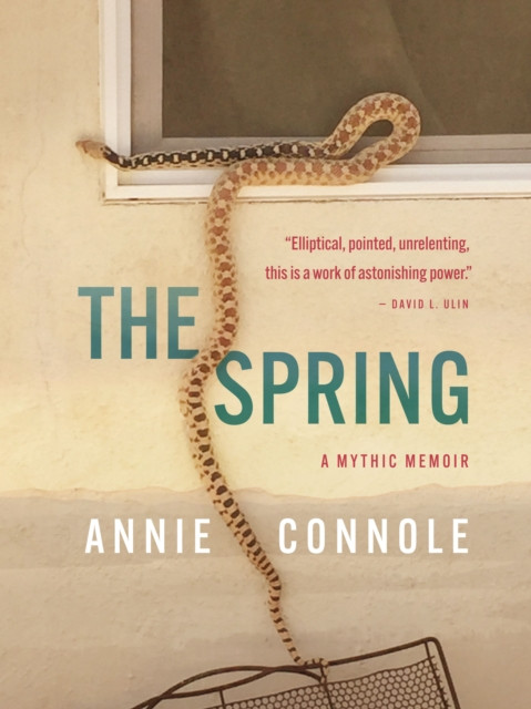 The Spring by Annie Connole (Hardback Book)