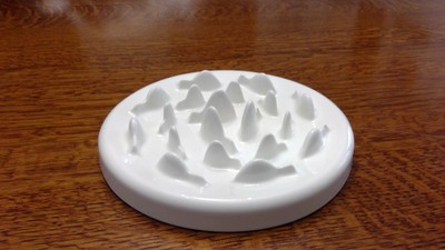 ceramic slow feeder cat bowl