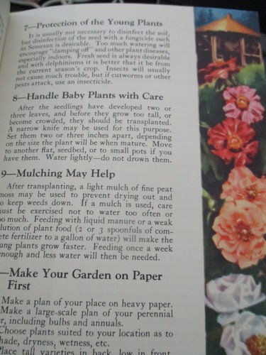 Vintage 1939 GM Booklet PERENNIALS IN YOUR GARDEN Blue Book No. 2 - Picture 2 of 4