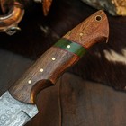 9.0" Tanto EDC Knife Damascus Fixed Blade Wood Handle Full Tang + Sheath — photo 9