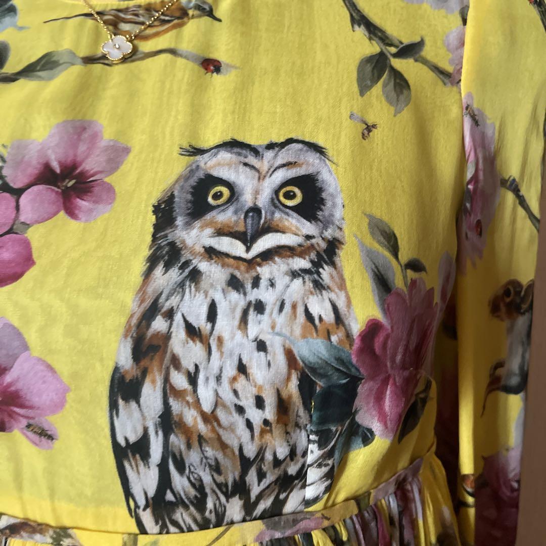 Authentic Dolce & Gabbana One Piece Dress Owl Floral Print Authentic Dolce & Gabbana One Piece Dress Owl Floral Print