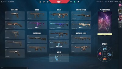 valorant account eu mit vielen skins von riot games ganz für 80 