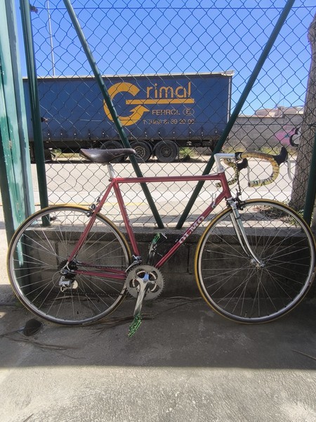 Bicicleta Olmo Clásica Italiana - Full Campagnolo Brev. - Modolo
