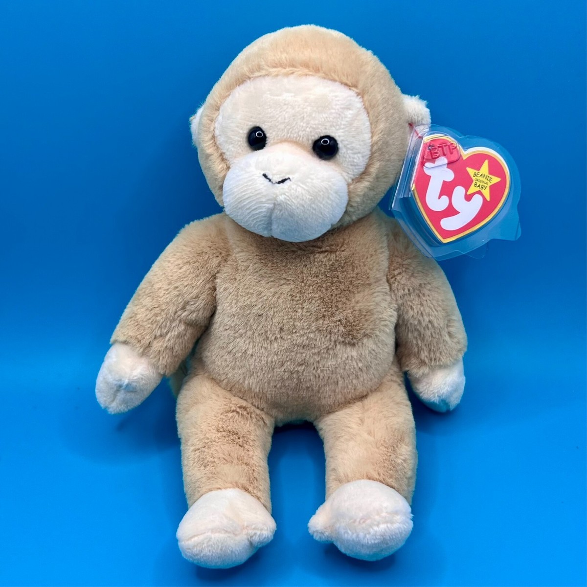 TY Beanie Baby - BONGO II the Monkey (8 inch) (2023 Release