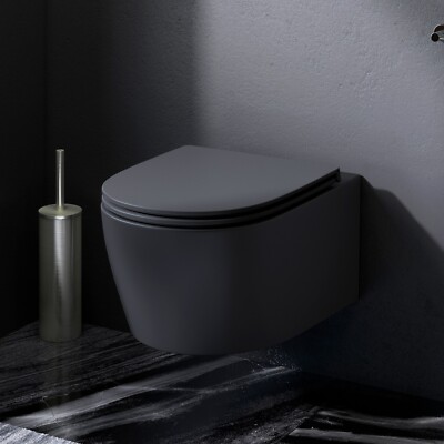 Design Hänge WC Spülrandlos Toilette abnehmbarer WC Sitz mit Softclose AM.PM
