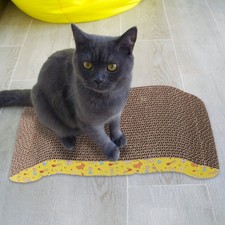 Cat Kitten Corrugated Scratch Board Durable Lightweight with Lacing Hole
