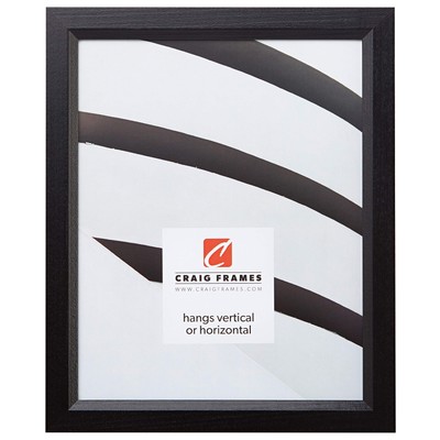 Craig Frames 7171610BKC2026AAC 0.825-Inch Wide Picture/Poster Frame in Wood