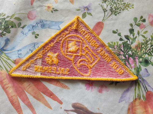 Patch Boy Scouts Blue Ridge Mountains Scout Show 1980 venditore - Foto 2 di 2