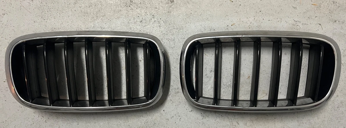 Genuine OEM Grilles for BMW X6 for sale | eBay