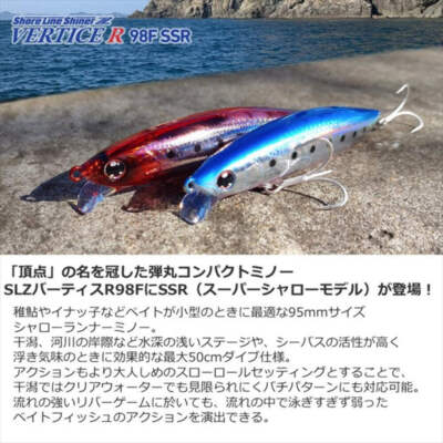 Shallow Water Fishing Lure Daiwa Shoreline Shiner Z Vertis 98F-SSR