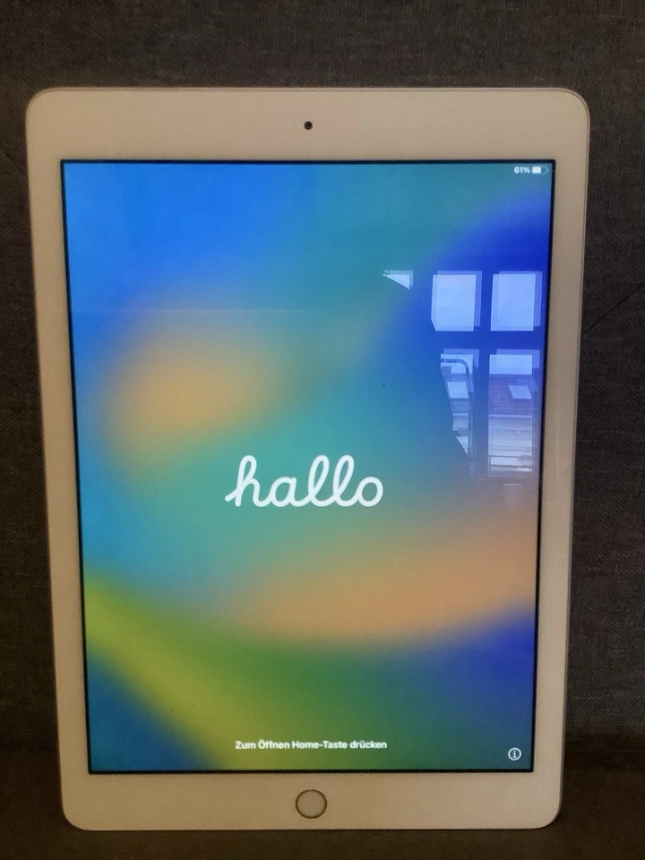 Apple iPad (6. Generation) Wi-Fi  128GB