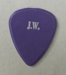 Vintage EAGLES / JOE WALSH Tour Guitar Pick - 1994 Hell Freezes Over