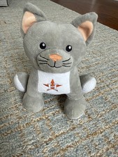 Astros Cat