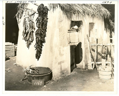 Vintage 8x10 Production Photo Tropic Holiday 1938 Dorothy Lamour Ray Milland