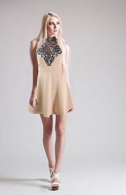 Petite Fit and Flare Mini Dress with Victorian Lace Beige