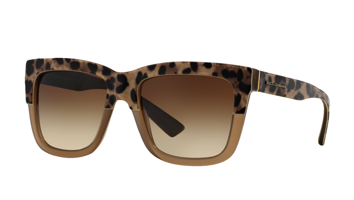 小物 Dolce&Gabbana sunglasses Amazon.com: Dolce & Gabbana DG4406-502/13 Sunglasses Havana