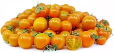 10+ Orange Cherry Tomato Seeds -------------------- RARE