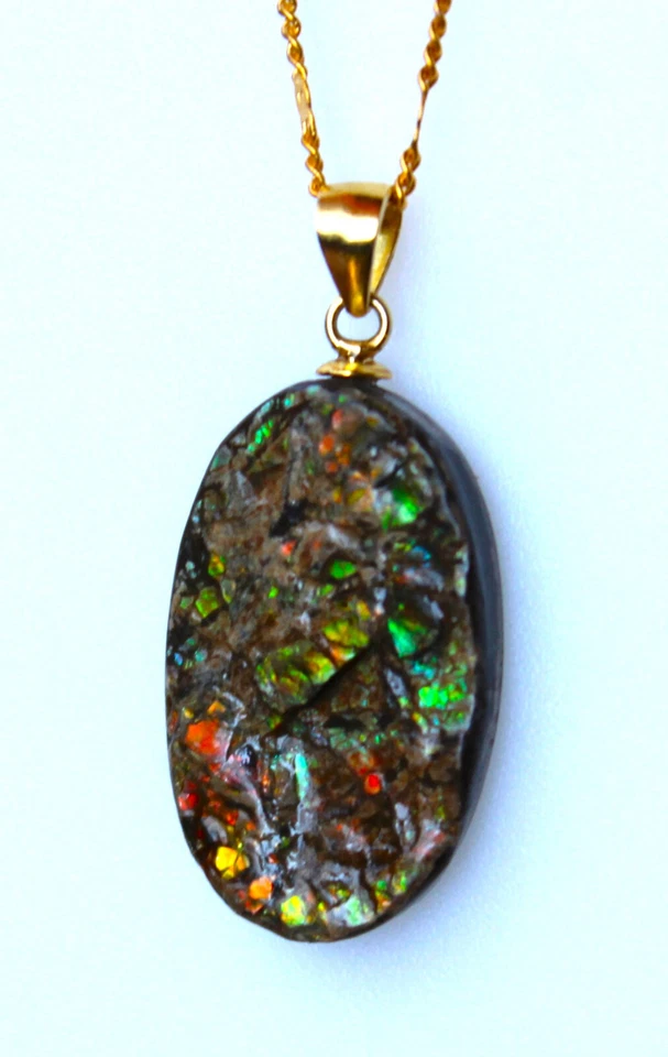 Ammolite Multicolore du Canada de 21,250 ct - Pendentif Argent 925 Doré + Chaîne - Photo 4/4