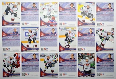 2013-14 Sereal KHL Torpedo Nizhny Novgorod Base Pick a Player Card