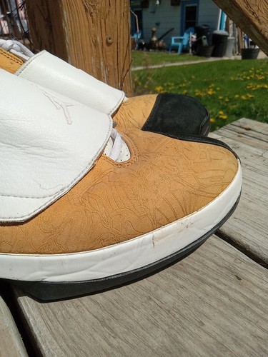 Nike Air Jordan 20 OG East Coast Größe 12 310455-711 2005 Wheat Chutney - Bild 14 von 21