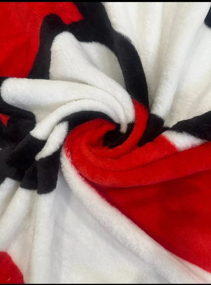 MANTA HELLO KITTY BY SANRIO TWIN RASCHEL 60 pulgadas x 80 pulgadas AGITANDO RAYAS NOROESTE Foto 3 de 3