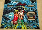 Williams Flash Pinball Machine Next Gen Translite backglass