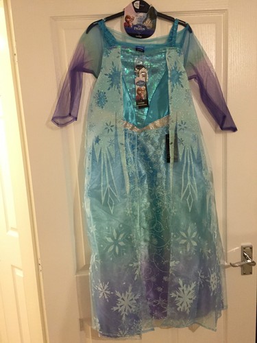 Disney Frozen Elsa Fancy Dress Costume 